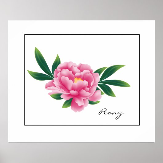 Poster-Roze Peony Poster (Voorkant)