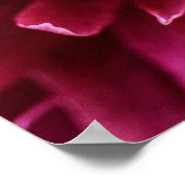 Poster Roze Pioenblaadjes (Hoek)