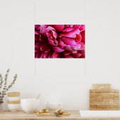 Poster Roze Pioenblaadjes (Keuken)