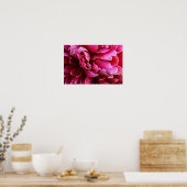Poster Roze Pioenblaadjes (Keuken)