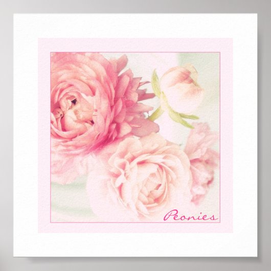 Poster roze pony's (Voorkant)