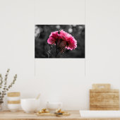 Poster Roze Roos Elegantie (Keuken)