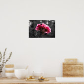 Poster Roze Roos Elegantie (Keuken)