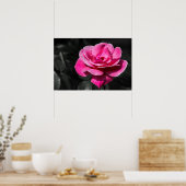 Poster Roze Roos Elegantie (Keuken)