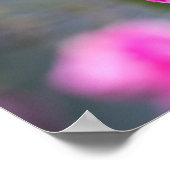 Poster Roze Roos Fotografie (Hoek)