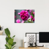 Poster Roze Roos Fotografie (Thuiskantoor)
