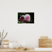 Poster Roze Rozen - Blozende Duet (Keuken)