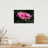 Poster Roze Rozen Fotografie (Keuken)