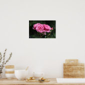 Poster Roze Rozen Fotografie (Keuken)