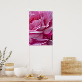 Poster Roze Rozenblaadjes En Dauwdruppels (Keuken)