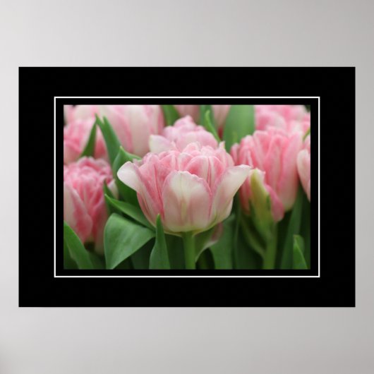 Poster roze tulpen (Voorkant)