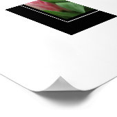 Poster roze tulpen (Hoek)