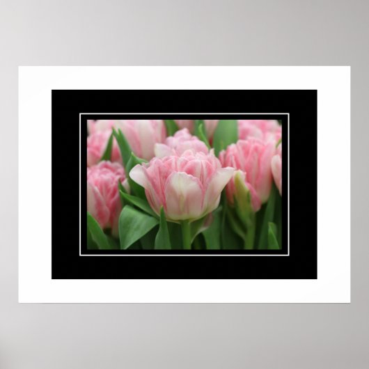 Poster roze tulpen (Voorkant)