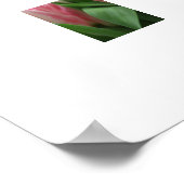 Poster roze tulpen (Hoek)