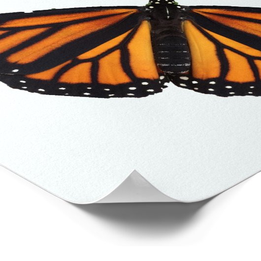 POSTER RUBBER TREE FAIRIES EN BUTTERFLIES (Hoek)