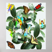 POSTER RUBBER TREE FAIRIES EN BUTTERFLIES (Voorkant)