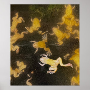 POSTER Rugzak afbeelding science kikkers zwemmen