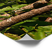 Poster Rundveetprofiel (Hoek)