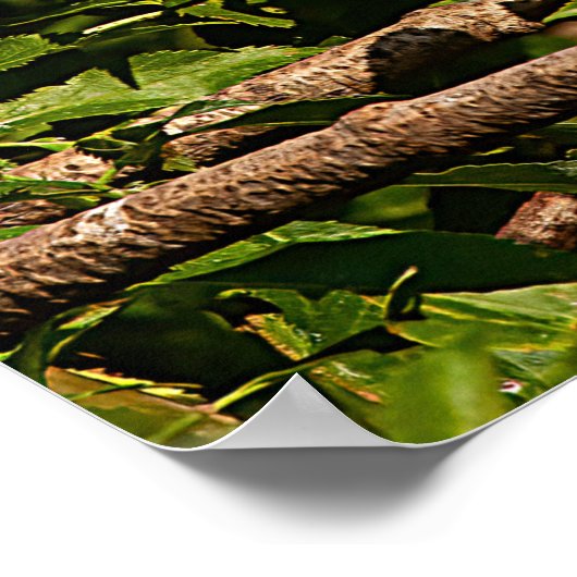 Poster Rundveetprofiel (Hoek)