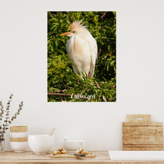 Poster Rundveetprofiel (Keuken)