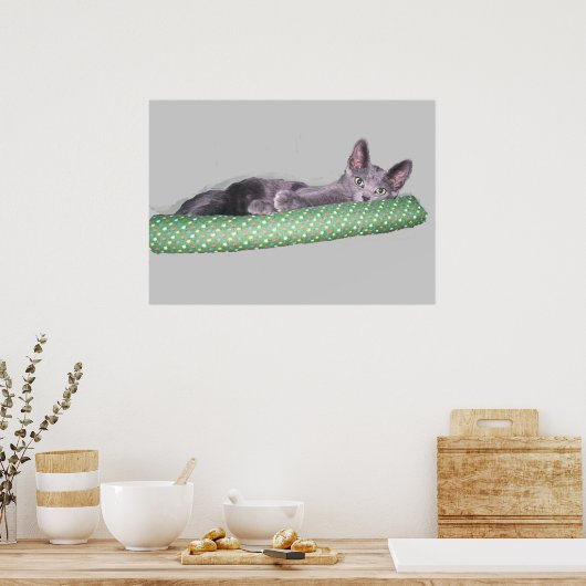 Poster - Russisch Blauw Kitten (Keuken)