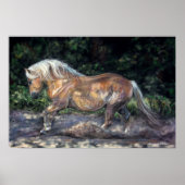 Poster 's avonds (Voorkant)