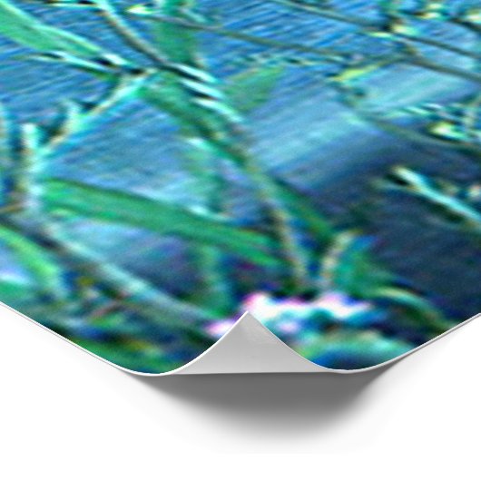 Poster 's nachts (Hoek)