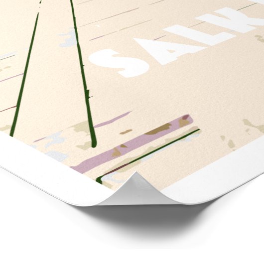 Poster Salk Institute (Hoek)