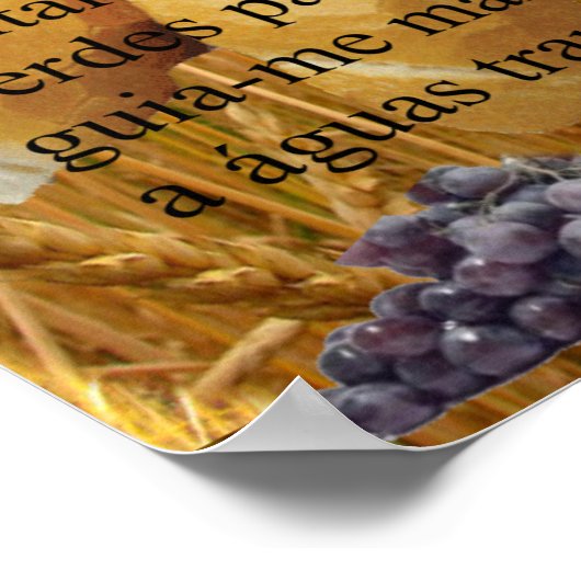 Poster salmo 23 (Hoek)