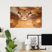 Poster Salmon Boa (Thuiskantoor)