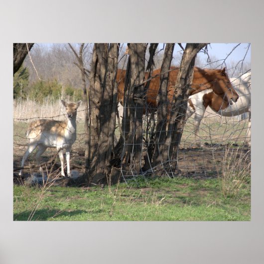 Poster samenleven (Voorkant)