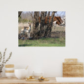 Poster samenleven (Keuken)