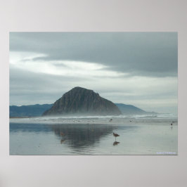 poster - Sandpipers op Morro Bay