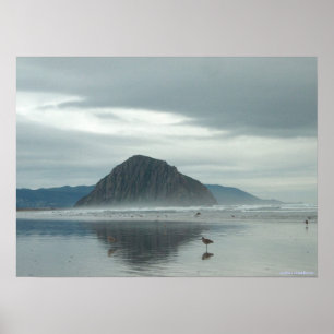 poster - Sandpipers op Morro Bay