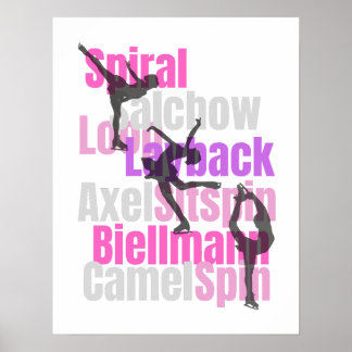 Poster schaatselementen
