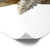 Poster schalen (Hoek)