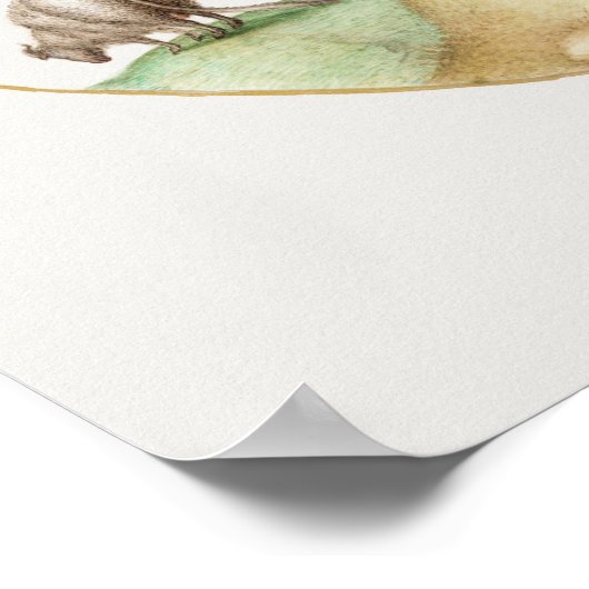  Poster schapen (Hoek)