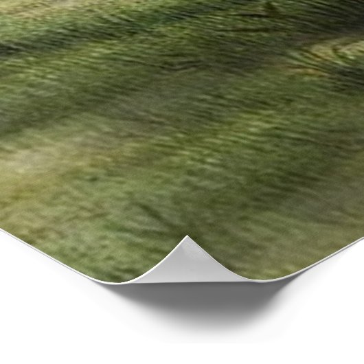 Poster schapen (Hoek)