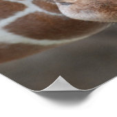 Poster schattige Giraffe (Hoek)