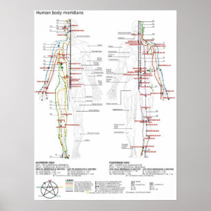 Poster Schematische Chinese Meridians