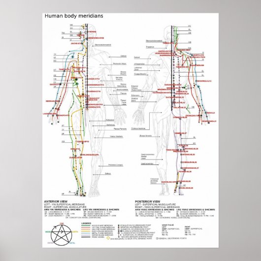Poster Schematische Chinese Meridians (Voorkant)