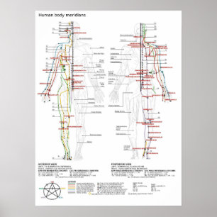 Poster Schematische Chinese Meridians Musculatuur