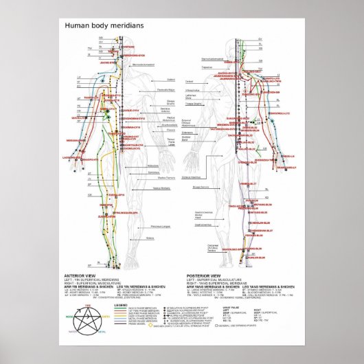 Poster Schematische Chinese Meridians Musculatuur  (Voorkant)