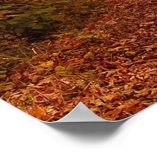 Poster schilderachtig station (Hoek)