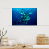 poster "School of Bumphead Parrot Fish" (Keuken)