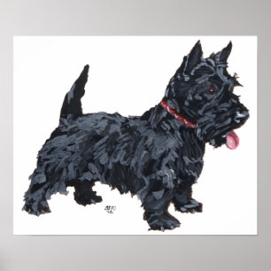 Poster Schotse Terrier
