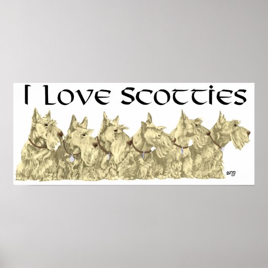 Poster Schotse Terrier (Voorkant)