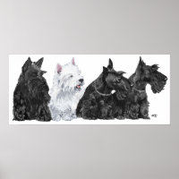 Poster Schotse Terrier