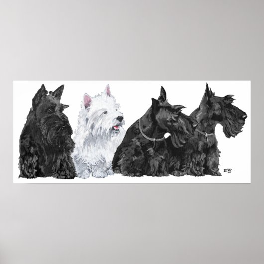 Poster Schotse Terrier (Voorkant)