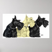 Poster Schotse Terrier (Voorkant)